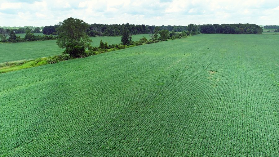 FARM AUCTION - 4 BEDROOM HOME, BUILDINGS, 70+/- ACRES OFFERED IN 5 TRACTS IN DEKALB COUNTY, INDIANA